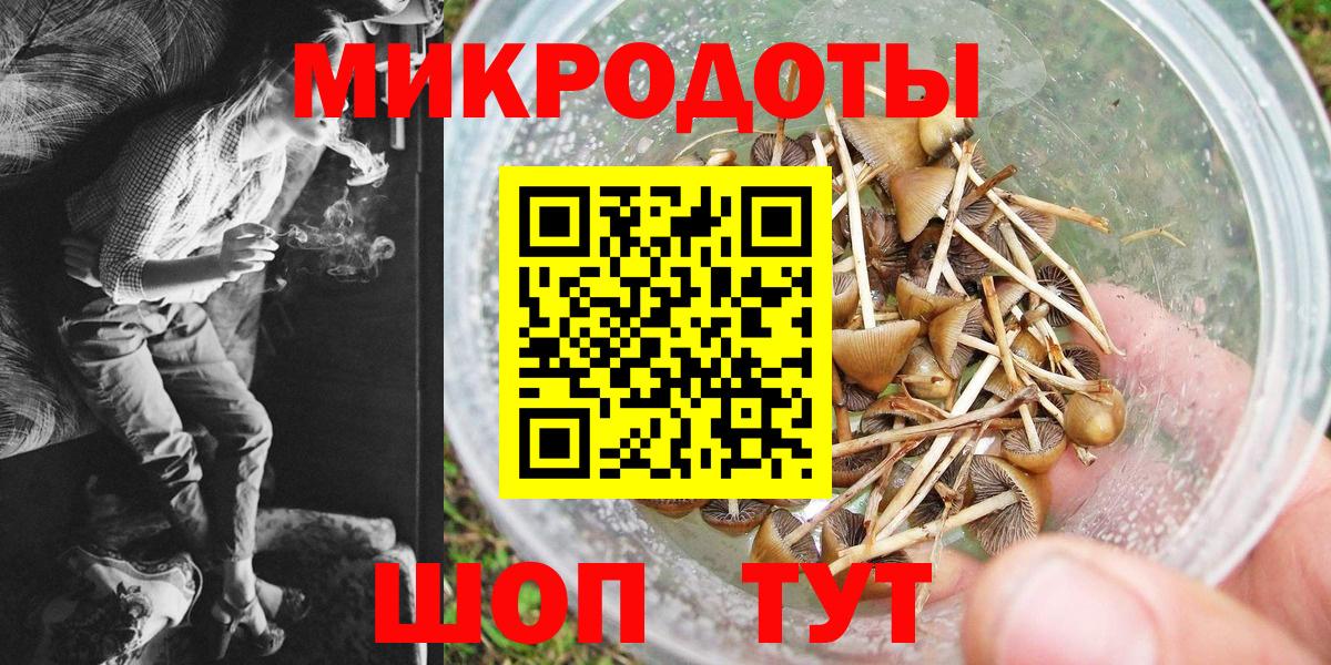 Псилоцибиновые грибы Psilocybine cubensis Протвино
