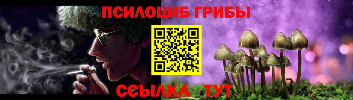 Протвино  Псилоцибиновые грибы MAGIC MUSHROOMS  Галлюциногенные грибы MAGIC MUSHROOMS  Вход с VPN 